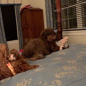 Meet your Posher, Katherine